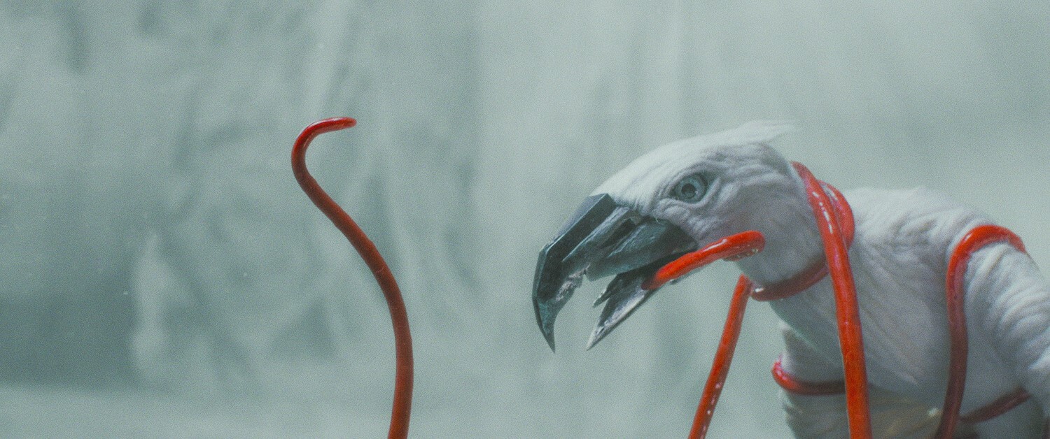 LIETUVOS ANIMACIJOS ASOCIACIJA KVIEČIA Į NAUJAUSIŲ LIETUVIŠKŲ ANIMACINIŲ FILMŲ PERŽIŪRĄ