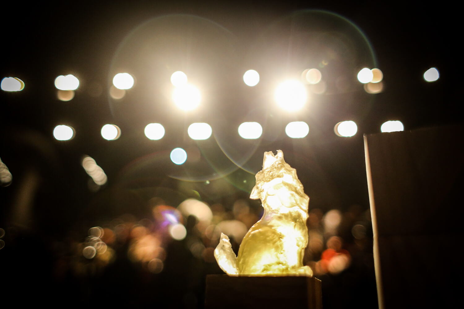 CALL FOR ENTRIES TO VILNIUS INTERNATIONAL SHORT FILM FESTIVAL 2020 NOW IS OPEN