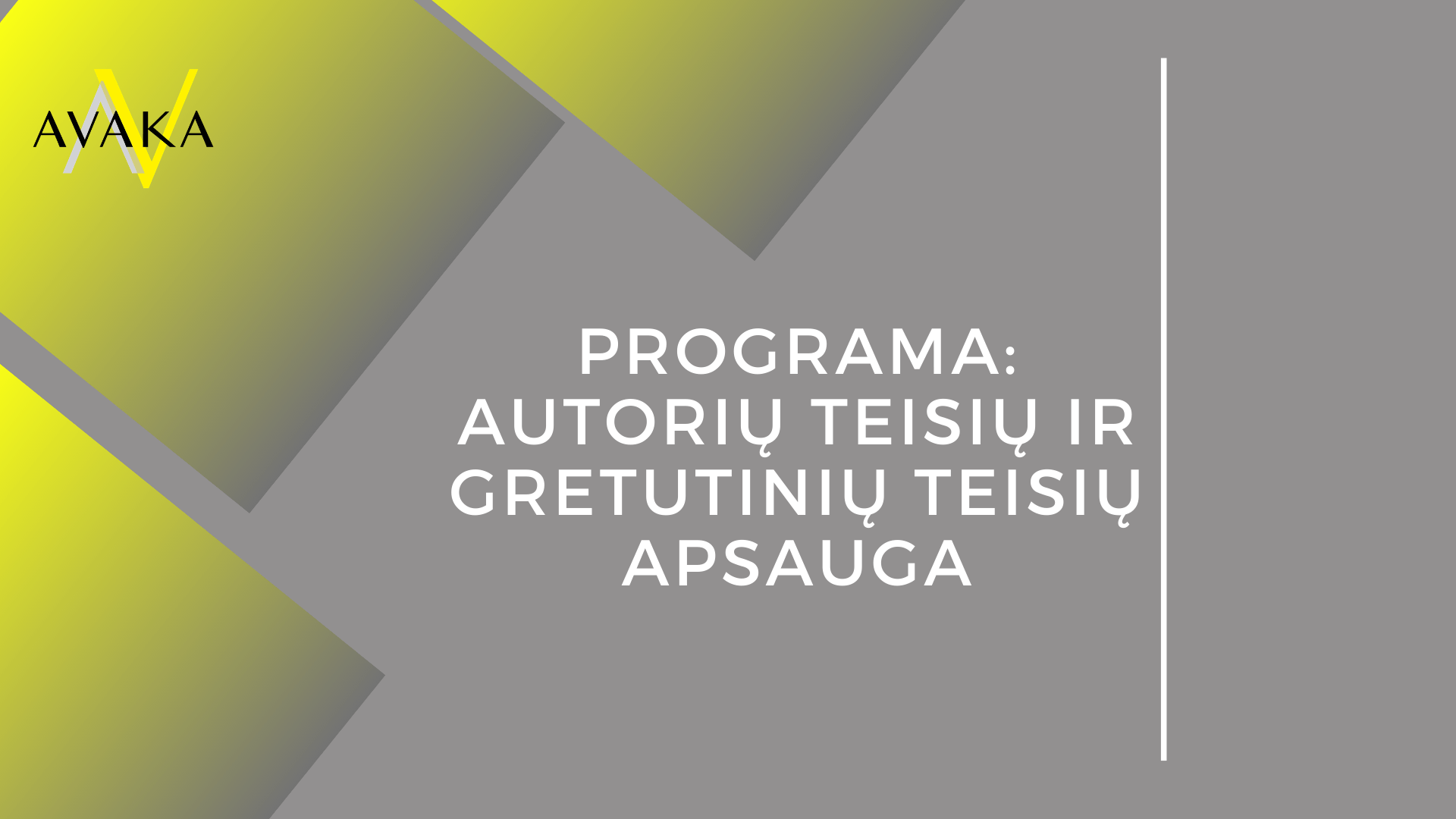 Programa: Autorių teisių ir gretutinių teisių apsauga