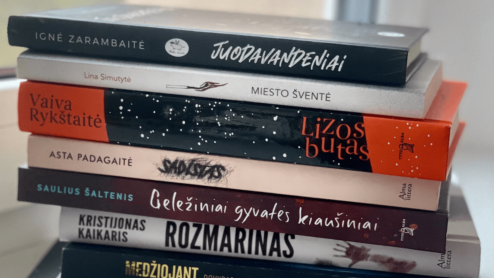 „Knyga+Kinas“: atrinktos knygos, galinčios tapti filmais